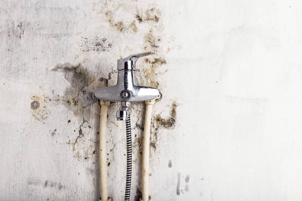 Best Office Mold Removal Services  in Charleston, WV